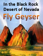 Fly Geyser is a very little known tourist attraction, even to Nevada residents.